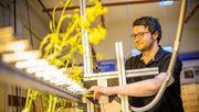 Jochen Taiber im Pflanzenlabor der Marburger Terahertz-Gruppe. Bild: Jan Hosan, Universität Marburg.