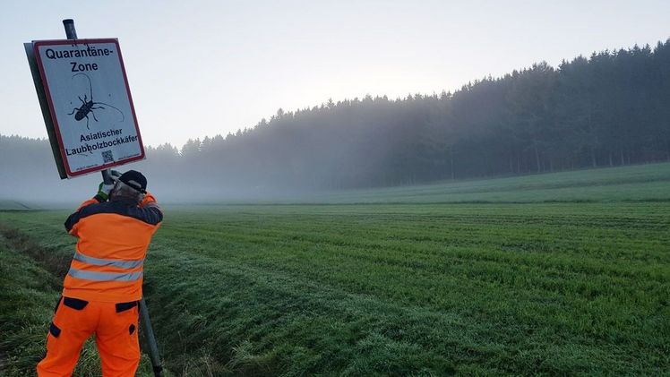 Dieses Schild gehört der Vergangenheit an. Die Quarantänezone Schönebach/Ziemetshausen ist aufgehoben. Bild: LfL. Dieses Schild gehört der Vergangenheit an. Die Quarantänezone Schönebach/Ziemetshausen ist aufgehoben. Bild: LfL.