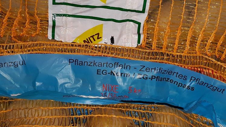 Gesundes, zertifiziertes Pflanzgut ist an der blauen Banderole an den im Handel erhältlichen Raschelsäcken zu erkennen. Bild: LALLF.