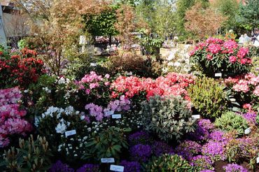 Impressionen von der RHODO 2023. Bild: GABOT.