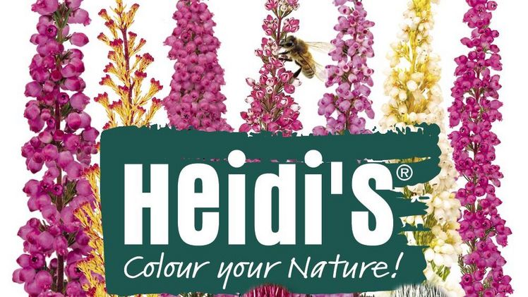 „Heidi’s® - Colour your Nature!“ von der Firma Hiedl. Bild: Hiedl.