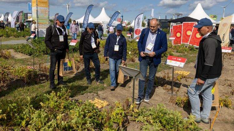 Die PotatoEurope und die SugarBeet Expo finden am 9. und 10. September 2026 auf dem Rittergut Gestorf bei Hannover statt. Foto: DLG.
