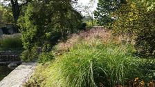 17. Internationalen Fachtage Ökologische Pflege der NÖ Umweltbewegung „Natur im Garten" am 18. und 19. November im Bildungshaus St. Hippolyt in St. Pölten. 