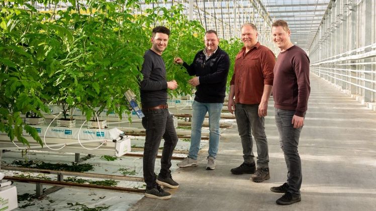 Von links nach rechts: Sam van Duijfhuizen, René Tielemans, Bert van den Brand und Giel Janssen. Bild: Fresh Valley.