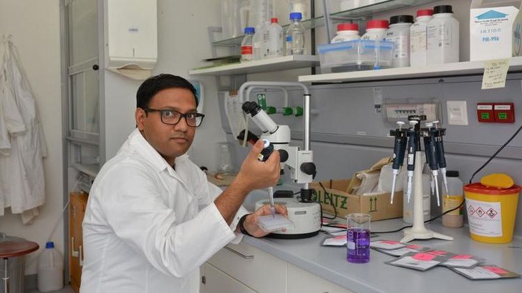 Dr. Samik Bhattacharya bei der Untersuchung der Keimfähigkeit von Saatgut aus der Loki-Schmidt-Genbank für Wildpflanzen des Botanischen Gartens der Universität Osnabrück. Foto: Universität Osnabrück/Klaus Mummenhoff. Dr. Samik Bhattacharya bei der Untersuchung der Keimfähigkeit von Saatgut aus der Loki-Schmidt-Genbank für Wildpflanzen des Botanischen Gartens der Universität Osnabrück. Foto: Universität Osnabrück/Klaus Mummenhoff.