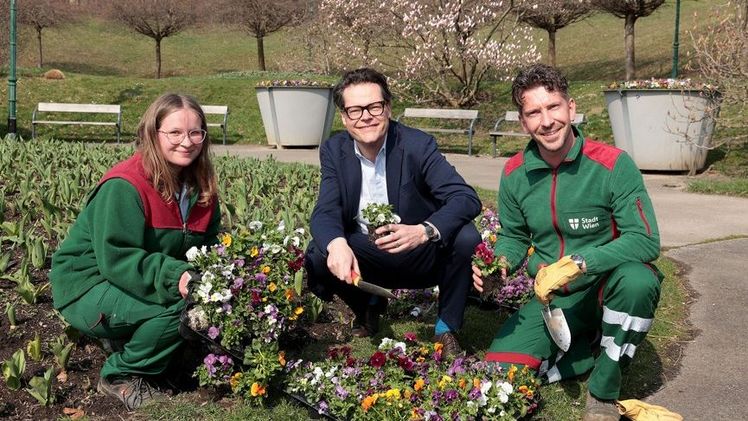 Klimastadtrat Jürgen Czernohorszky mit Mitarbeiter*innen der Wiener Stadtgärten beim Einsetzen der Frühlingsblumen. Bild: Stadt Wien/Martin Votava.