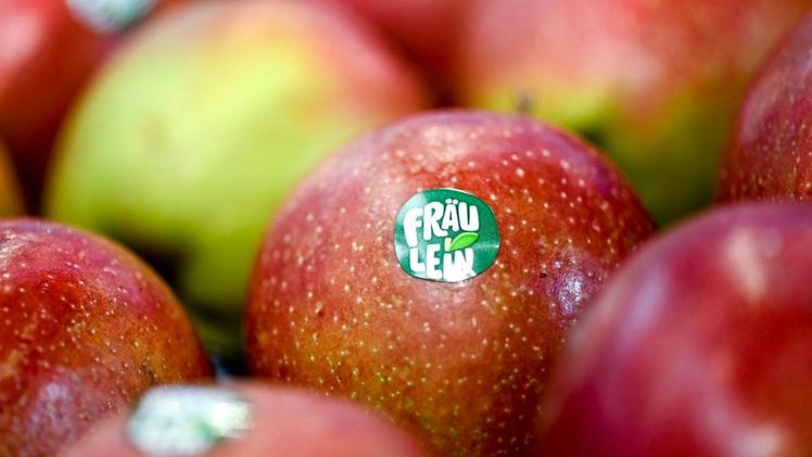 Leckeres Obst vom Bodensee. Bild: Fruchtwelt Bodensee.