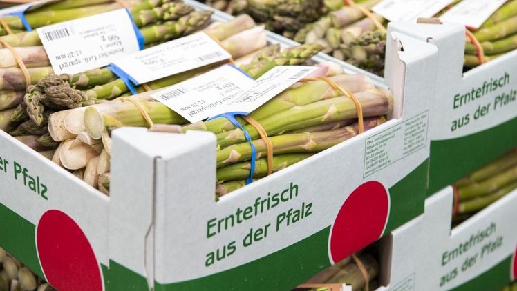 Die 180 aktiven Pfalzmarkt-Erzeuger leisten in dieser Saison alles Menschenmögliche, damit „Erntefrisch aus der Pfalz“ verlässlich und auf kürzestem Weg im Handel und bei den Verbrauchern ankommt. Bild: Pfalzmarkt eG. 