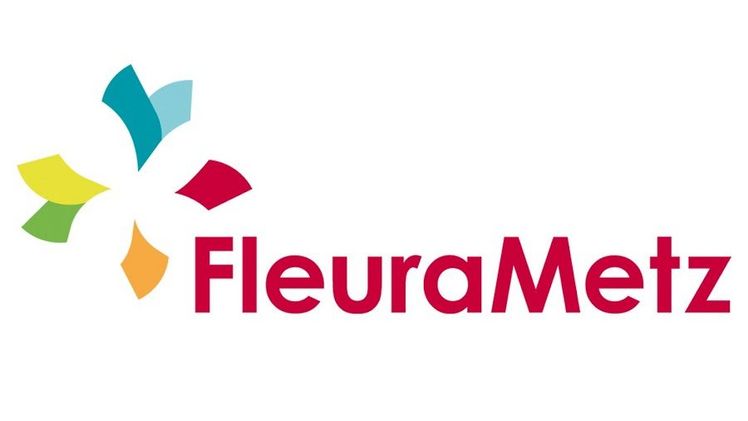 Die Dutch Flower Group und FleuraMetz bauen digitale Plattform. 