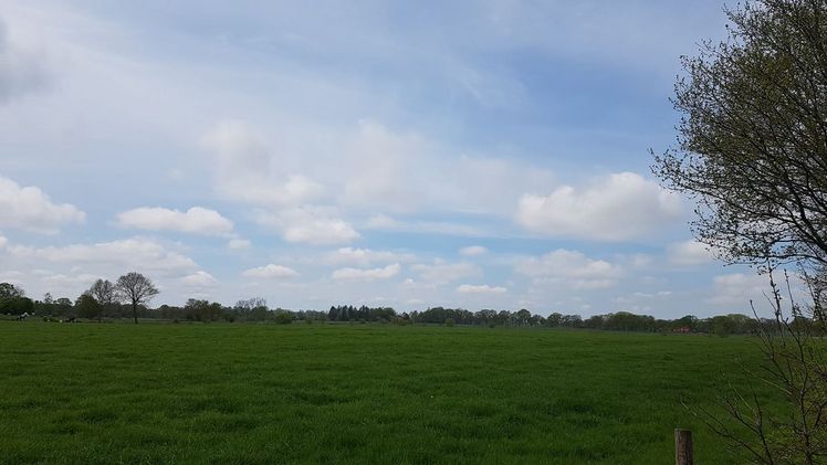 Mai 2026: Zwischen Eisheiligen und Hochsommer . insgesamt zu warm und sehr sonnig. Bild: GABOT.