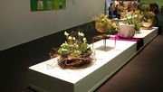 Effektvolle Inszenierungen und neue blumige Trends machen Blumen und Pflanzen zum Trendthema in der jungen urbanen Zielgruppe. Foto: BVE.