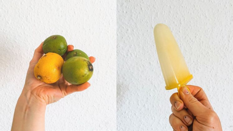 @Gleichgesinnt: Aus alten Zitronen und Limonen wurde ein fruchtiges Eis. Bild: ZEHN.
