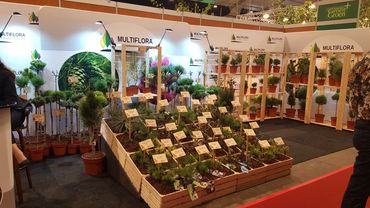 Impressionen von der GrootGroenPlus 2024. Bild: GABOT.