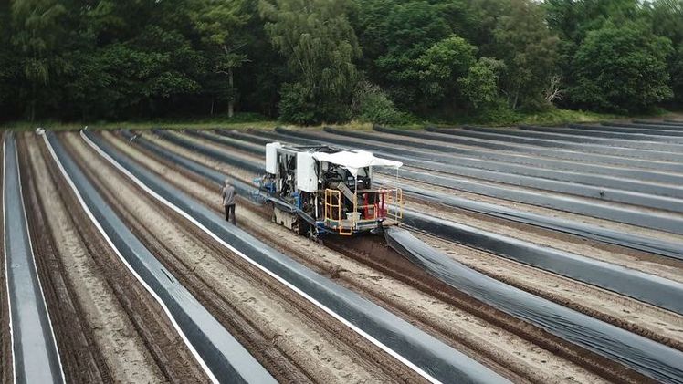 Sparter, der 1-reihige Spargelernte-Roboter von Cerescon. Bild: Cerescon.