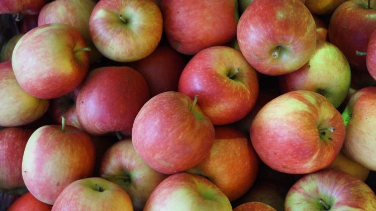 Äpfel sind die wichtigste Obstart in Baden-Württemberg. Bild: GABOT.