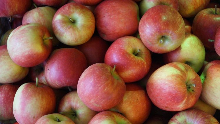 Die EU-Kommission stellt betroffenen Obstbauern 70 Mio. Euro bereit. Bild: GABOT.