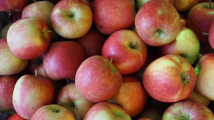 "Äpfel aus dem Rheinland sind gelebter Klima- und Landschaftsschutz." Bild: GABOT.