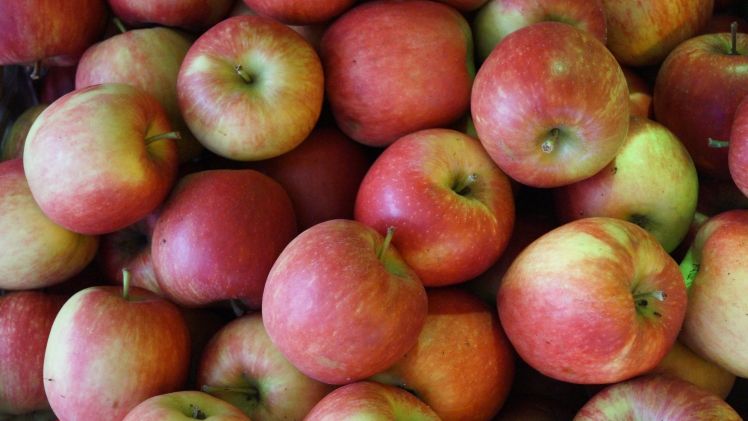 EU-Schulobstprogramm wird fortgesetzt. Bild: GABOT.