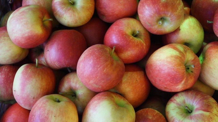 Der Apfel ist die beliebteste Frucht in der Schweiz. Bild: Gabot.