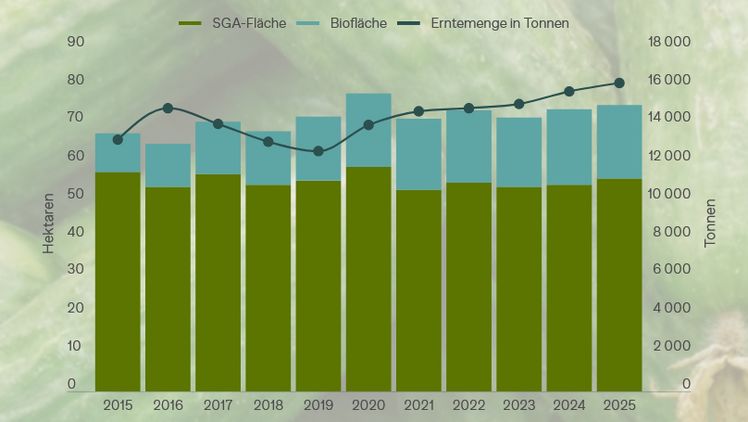 Salatgurkenabau in der Schweiz. Grafik: lid.
