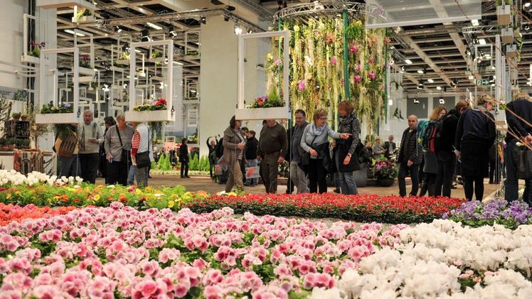 Die Blumenhalle ist immer ein Besuchermagnet auf der Grünen Woche. Bild: Messe Berlin GmbH.