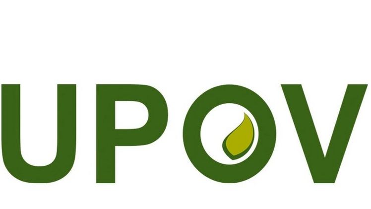 Die UPOV ist eine zwischenstaatliche Organisation mit Sitz in Genf.
