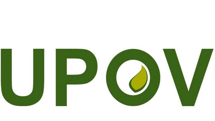 Der Internationale Verband zum Schutz von Pflanzenzüchtungen (UPOV) ist eine zwischenstaatliche Organisation mit Sitz in Genf (Schweiz).