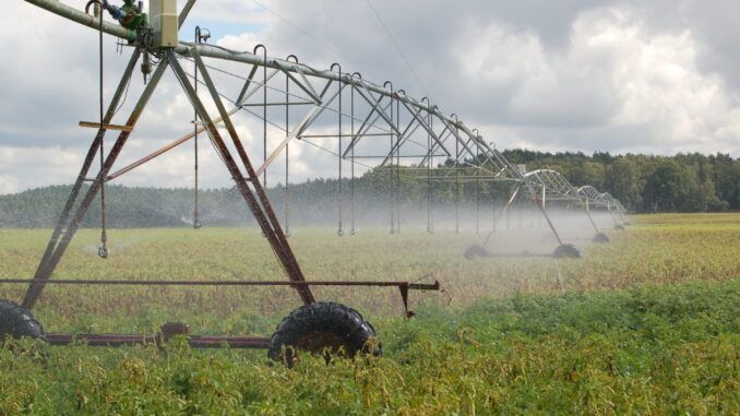 Mit Hilfe moderner Beregnungstechnik kann Wasser effizienter für das Pflanzenwachstum genutzt werden. Bild: Landvolk.