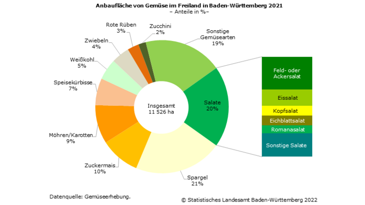 Anbaufläche von Gemüse im Freiland in Baden-Württemberg. Bild: Statistisches Landesamt Baden-Württemberg.