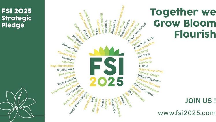 Die Floriculture Sustainability Initiative ist eine Mitgliederorganisation, die internationale Organisationen aus der gesamten Lieferkette der Blumenindustrie unter starker Beteiligung von Wirtschaft und Zivilgesellschaft vereint. Bild: FSI.