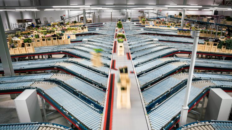 Der Systemintegrator Material Handling Systems (MHS) hat das neue zentrale Distributionszentrum der Hoek Group mit zwei HC Shoe Sortern automatisiert. Bild: MHS.