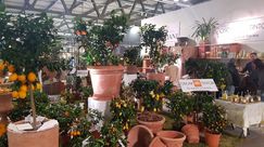 Impressionen von der Myplant & Garden 2025. Bild: GABOT.