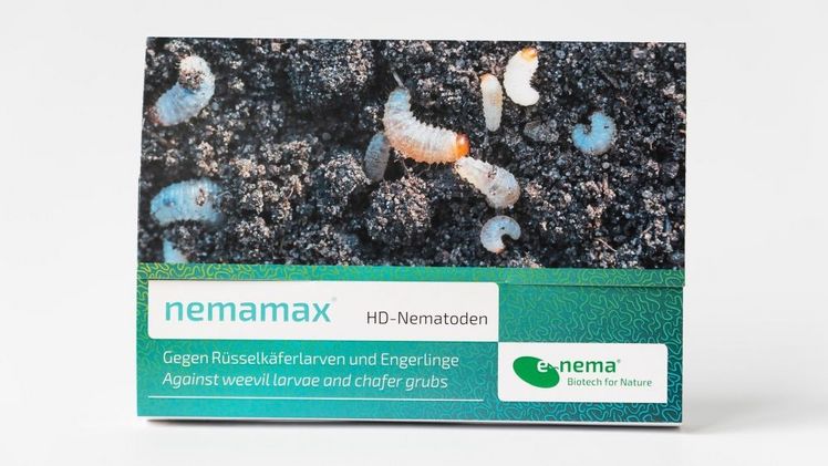 Im Vergleich zu anderen Nematodenprodukten kann nemamax® bereits ab 8°C und mit halber Aufwandmenge angewandt werden. Bild: e-nema.