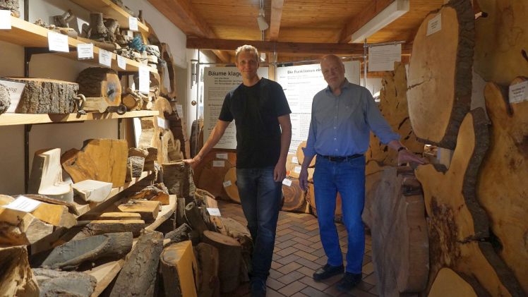 Beeindruckende Sammlung: Uwe Thomsen (rechts) und Svenning Holst inmitten der konservierten Baum-Exponate des Pinneberger Baumpflegeunternehmens. Bild: Kottich.