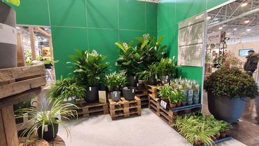 Impressionen vom IPM Discovery Center 2026. Bild: GABOT.