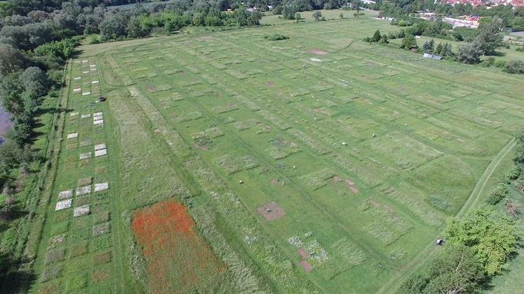 Luftaufnahme des „Jena Experiments“ in Thüringen. Bild: Jena Experiment. Luftaufnahme des „Jena Experiments“ in Thüringen. Bild: Jena Experiment.