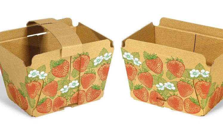 Sofrupak präsentiert Neuheiten auf der expoSE 2022 und expoDirekt 2022. Bild: Sofrupak.