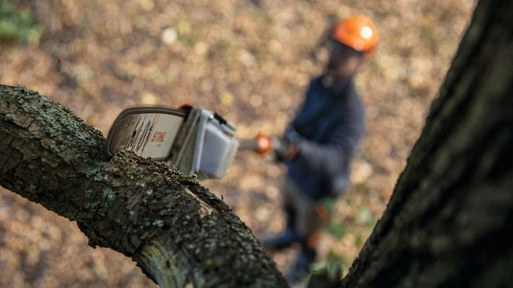 Mit dem Akku-Hoch-Entaster STIHL HTA 160 können Profis Baumpflegearbeiten auch bei größeren Astdurchmessern mit sicherem Stand vom Boden aus erledigen. Bild: STIHL. 