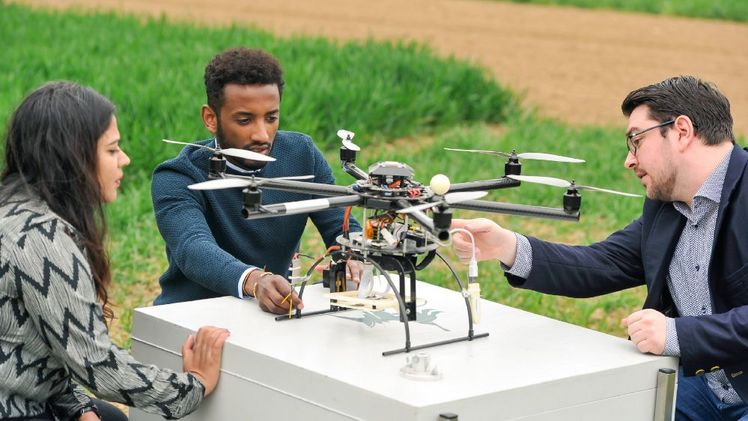 Ein großangelegter Feldversuch der Uni Hohenheim zeigt: Fortschrittliche Robotik, künstliche Intelligenz, biologischen Prinzipien folgende Agrartechnologien sowie der gezielte Einsatz von Mineraldünger, ermöglichen den Verzicht auf chemisch-synthetische Pflanzenschutzmittel mit vergleichsweise geringen Ertragseinbußen und gleichbleibender Produktqualität – das kommt Umwelt und Biodiversität zugute. Bild: Universität Hohenheim / Max Kovalenko.