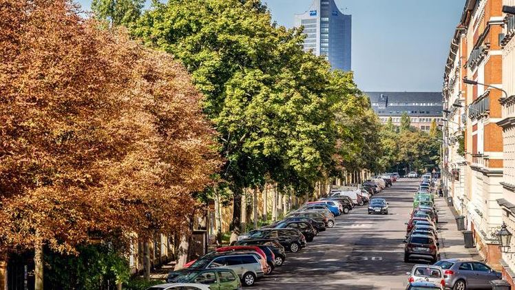 Mehr Straßenbäume in Städten (wie hier im Leipziger Stadtzentrum) können dazu beitragen, die psychische Gesundheit, aber auch das lokale Klima, die Luftqualität und den Artenreichtum zu verbessern. Bild: Philipp Kirschner.