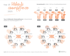 Top 10 blühende Zimmerpflanzen in Deutschland. Grafik: ZVG.