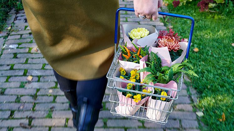 Kampagnen haben einen positiven Effekt auf die Wahrnehmung und die Kaufabsicht der Verbraucher*innen. Bild: BBH.