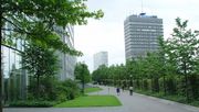 Auch Grünflächen von Firmen leisten in dichtbebauten Innenstädten einen wichtigen Beitrag zur Klimaanpassung vor Ort und steigern die Attraktivität des Standortes. Foto: VGL NRW. 