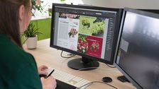 Ein durchdachtes Konzept - die 'Groundbreaker'-Website. Bild: Harries Plantdesign.