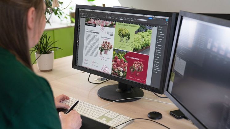 Ein durchdachtes Konzept - die 'Groundbreaker'-Website. Bild: Harries Plantdesign.