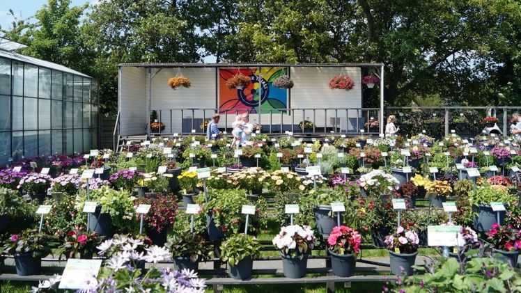 Die FlowerTrials 2019 finden vom 11. bis 15. Juni in drei Regionen statt. Bild: GABOT.