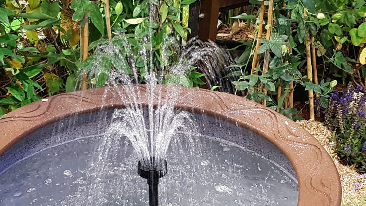 Wasser ist ein belebendes Element im Garten. Bild: GABOT.