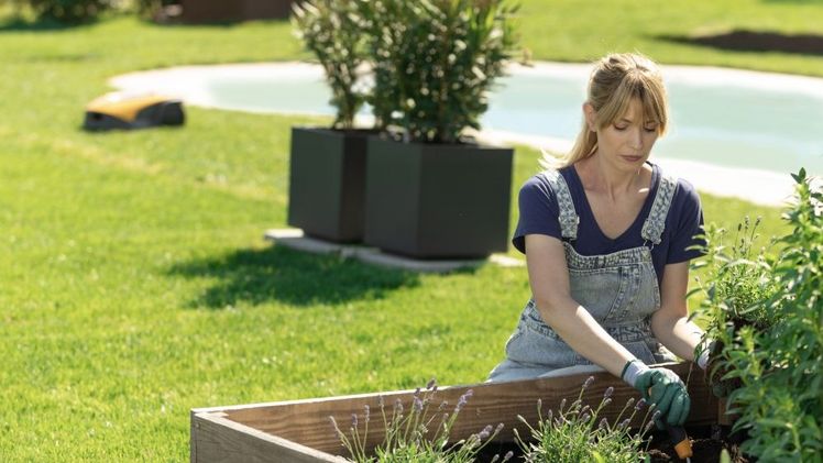 YouGov-Umfrage im Auftrag von STIGA: 63% der Deutschen erkennen die positiven Auswirkungen der Gartenarbeit auf ihre psychische Gesundheit. Bild: © STIGA GmbH.