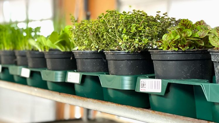 Nach Monaten intensiver Diskussionen und Vorbereitung beginnt mit Beginn der Frühjahrssaison 2023 nun auch der Praxistest der neuen EPT Trays. Bild: EPT.