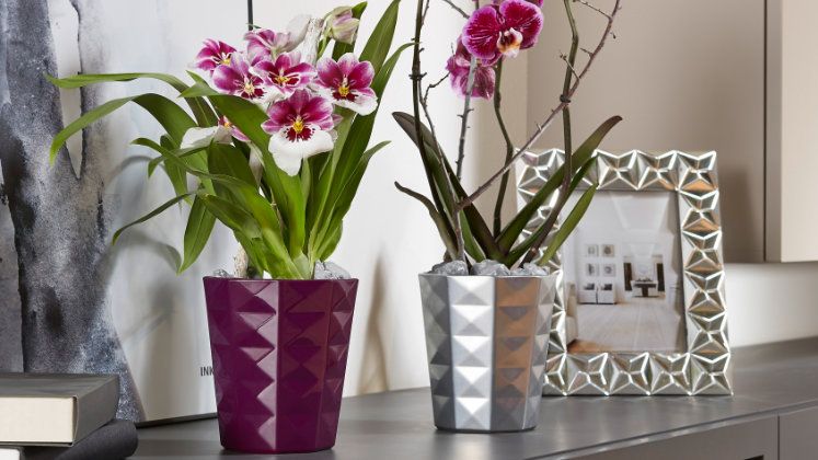 Orchideenvase „Kyoto“. Bild: Soendgen Keramik.